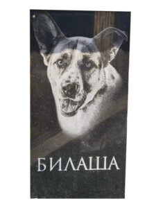 Памятники животным в Хадыженске